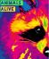 animalsalive.ru