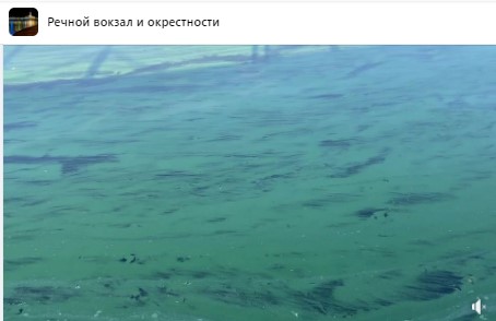 Изумрудный цвет каналу им. Москвы придали согревшиеся водоросли