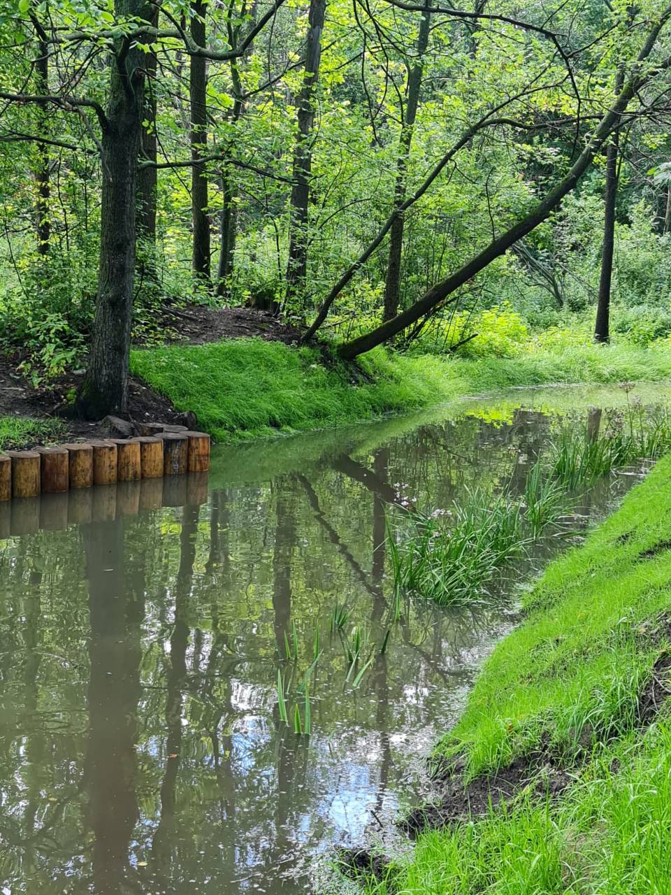 В парке «Кузьминки-Люблино» завершили расчистку русла реки Чурилиха