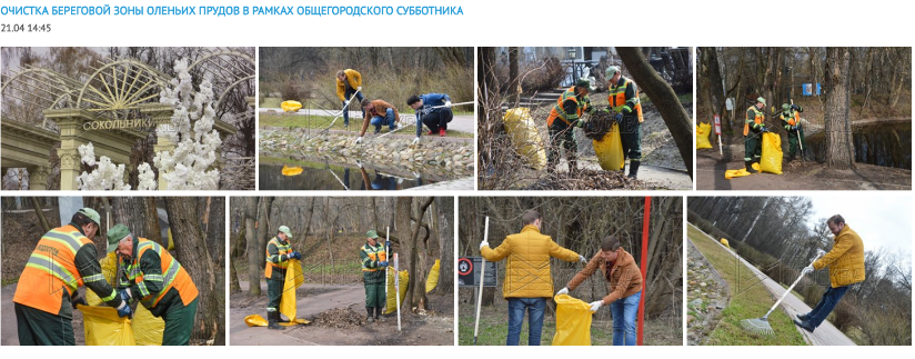Очистка береговой зоны Оленьих прудов в рамках общегородского субботника