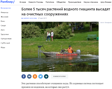 Более 5 тысяч растений водного гиацинта высадят на очистных сооружениях