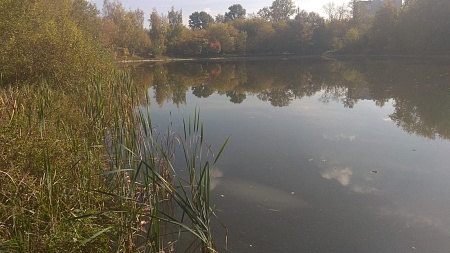 Оленьи пруды №№ 2-6