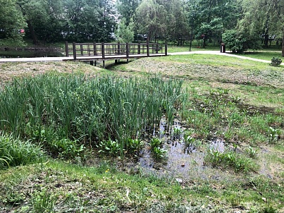 Кунцевские пруды № 1-2