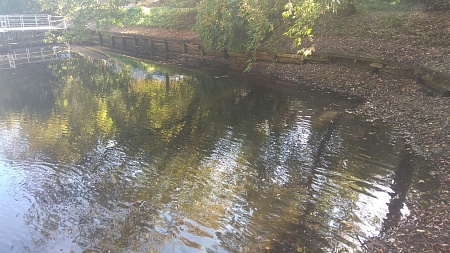 Оленьи пруды №№ 2-6