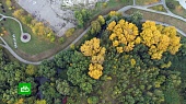 Началась очистка русла реки Городни в Братееве