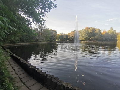 Пруд «Быково болото»