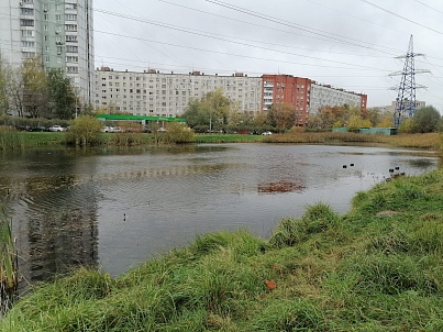 Красноярские пруды №№ 1-2
