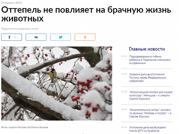 Оттепель не повлияет на брачную жизнь животных 