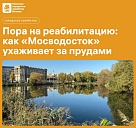 Пора на реабилитацию: как «Мосводосток» ухаживает за прудами