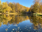 В Москве очистят пруды Лефортовского парка
