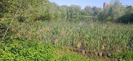 Пруд "50-летия октября"