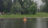 Домики и сходы для уток установили на городском пруду и Школьном озере. Это поможет им защищать птенцов и без проблем выходить на берег