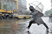 В Москве выпало около 40% месячной нормы осадков