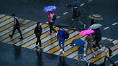 Системы жизнеобеспечения Москвы во время дождей работают в штатном режиме