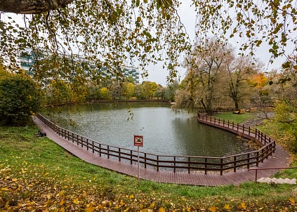 Пруд «Быково болото»