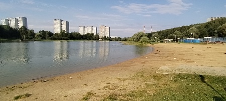 Озеро «Школьное» (Крюковский пруд)