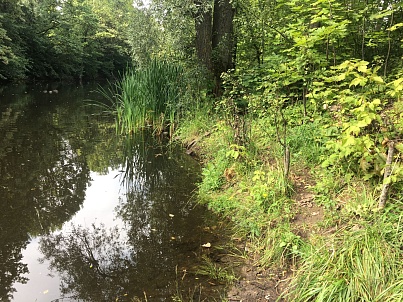 Воронинский большой (Бакулевский) пруд