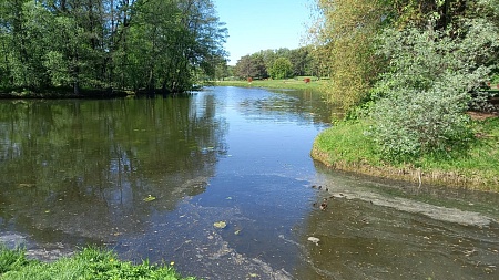 Шибаевский пруд
