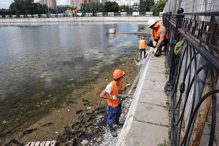 Пруд «Радуга-2»