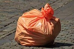В парке «Москворецкий» состоялась акция «Чистый берег»