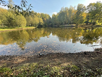 Пруд «Соловьиный»