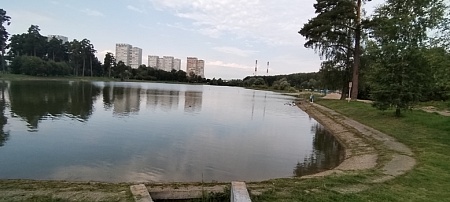 Озеро «Школьное» (Крюковский пруд)