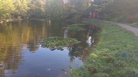 Оленьи пруды №№ 2-6