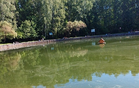 Дунькин пруд