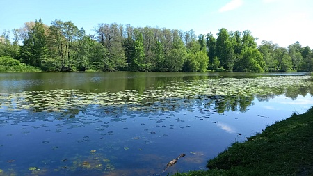 Нижний Кузьминский пруд