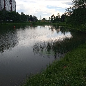 Ясеневские пруды № 1-3