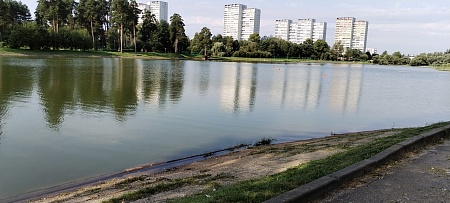 Озеро «Школьное» (Крюковский пруд)