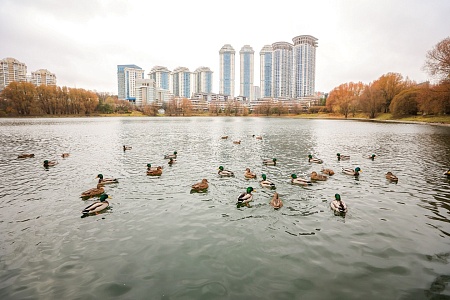Пруд «Мосфильмовский»