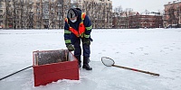 На московских прудах пробурят кислородные лунки для рыб