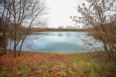 Пруд «Мосфильмовский»