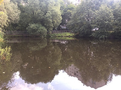 Воронинский большой (Бакулевский) пруд