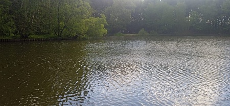 Одоевский (Голубинский) пруд