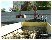 МОСКВА, 12 августа 2009года - ВЕСТИ-МОСКВА