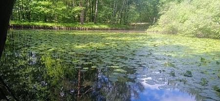 Одоевский (Голубинский) пруд