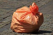 В парке «Москворецкий» состоялась акция «Чистый берег»