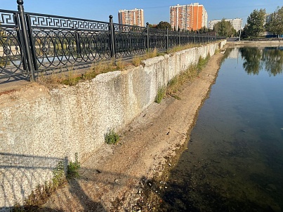 Пруд «Радуга-2»