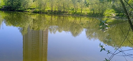 Пруд "50-летия октября"