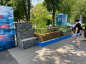 На Московском урбанистическом форуме в «Лужниках»  представлен столичный пруд в разрезе