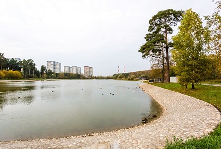 Озеро «Школьное» (Крюковский пруд)