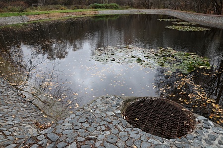 Оленьи пруды №№ 2-6