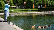 На юго-востоке Москвы реконструировали пруд "Жулебино