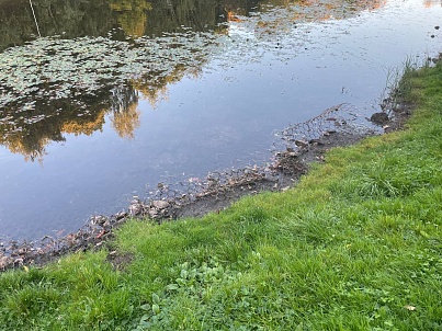 Пруд «Черноморский»