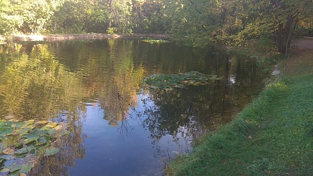 Оленьи пруды №№ 2-6