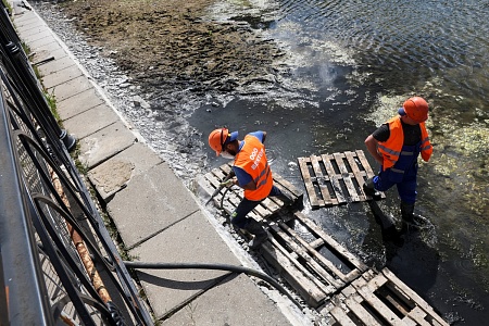 Пруд «Радуга-2»