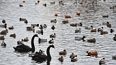 Малые водоемы реконструируют на северо‑востоке Москвы