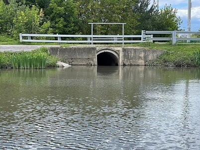 Пруд «2-й Николо-Хованский»